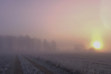 field