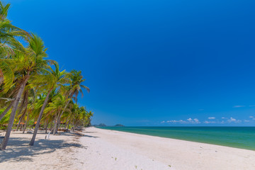 Obraz premium Coconut Palm trees on white sandy beach and blue sky in south of Thailand