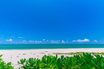  white sand beach , turquoise water and green lush trees on the foreground in south of Thailand