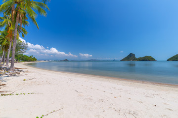 Coconut Palm trees on white sandy beach and  blue sky in south of Thailand