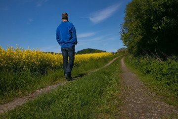 Mann geht an einem schönen Feld Weg wandern