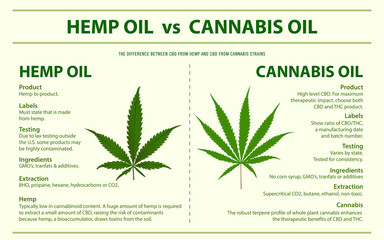 Hemp Oil vs Cannabis Oil horizontal infographic illustration about cannabis as herbal alternative medicine and chemical therapy, healthcare and medical science vector.