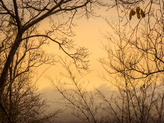 Morning Fog in front of warm light after sunrise 02