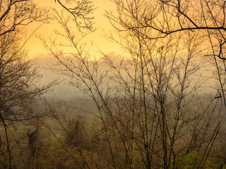 Morning Fog in front of warm light after sunrise 03
