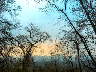 Morning Fog in front of warm light after sunrise 01