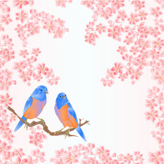 Seamless texture bird bluebirds and sakura  spring background vintage vector illustration editable hand draw