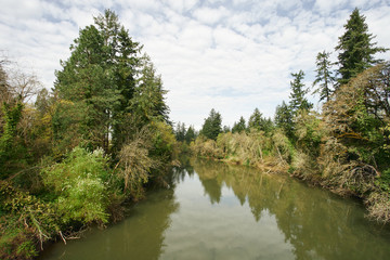 Obraz premium Rising water level during springtime of the Tualatin River, a tributary of the Willamette River in Oregon.
