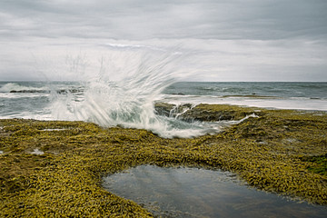 Winkie Pop, Bells Beach, Great ocean road