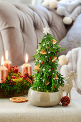 Christmas decoration in fir shape made of thuja twigs and moss.