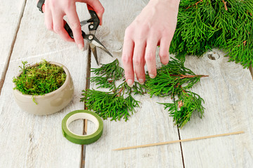 How to make beautiful Christmas decoration in fir shape using thuja twigs and moss