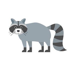 cute cartoon racoon isolated on white background
