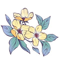 Obraz na płótnie Canvas Flowers branch isolated on white background. Line art illustration