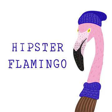 Portrait of Hipster flamingo