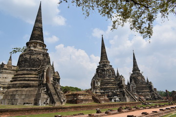 Fototapeta premium Ayuttahaya kompleks świąntynny Tajlandia, Wat Mahathat, Wat Phra Si Sanphet