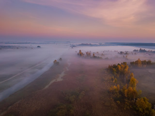 Forest in the fog at sunrise. View from drone.