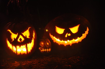 Naklejka premium Lighted Jack-O-Lanterns