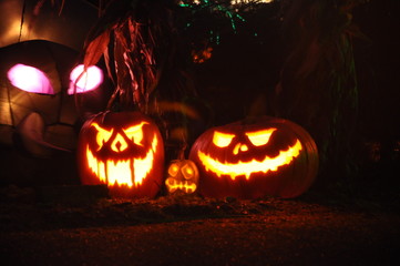 Lighted Pumpkins and Spider Head