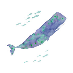 夏 海 マッコウクジラ 水彩 イラスト