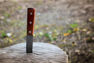 knife with wooden handle, stuck in a piece of trunk