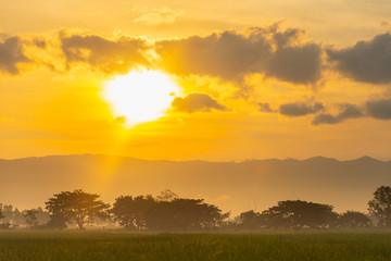 Beautiful sunrise view