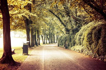 Fototapeta premium Path in summer park