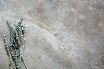 Bunch of Lavender Flatlayed on rustic concrete background 3