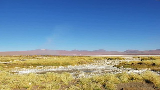 static shot of a desert and grass moving on the wind, mountain in the background, salar de uyuni, bolivia, South America