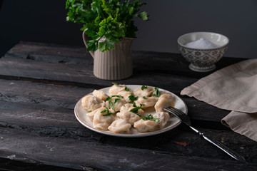 homemade dumplings, on a rustic plate on an old wooden backdrop, dark background