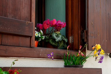 Wooden window decorated with flowers