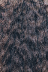 Brown hair close up. Textures and background