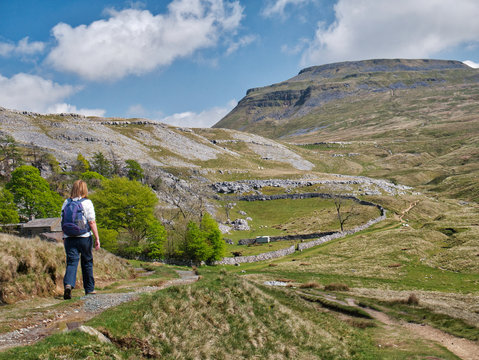 A single walker on a path by Crina Bottom, heading for Ingleborough, in the background, in the Yorkshire Dales, UK