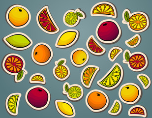 Citrus doodles lemon, lime, orange, mandarin, grapefruit. Whole and cut stickers