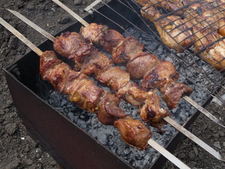 meat on the grill