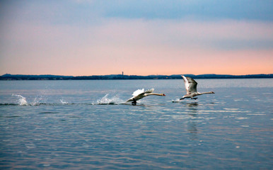 Naklejka premium Sunset Garda Lake