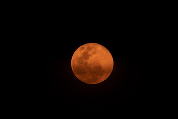 Obraz premium Big Full moon in orange color with black dark sky background