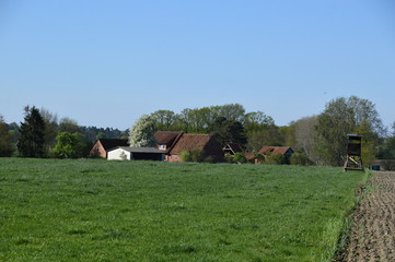 Lüneburger Heide, Niedersachsen