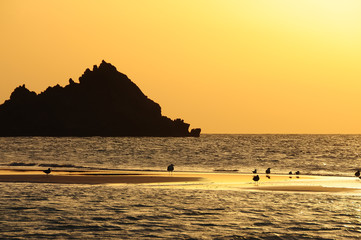 Sunset on a wild beach on the Indian Ocean. Golden sunset on the paradise island beach.