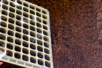 trays for seed germination, along with ground coconut shell to fill the trays
