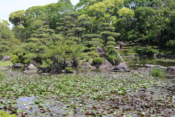 japon 