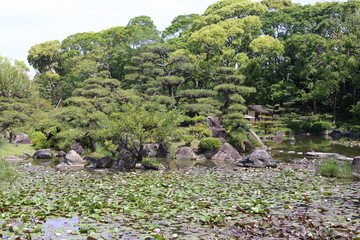 japon 