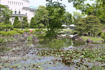 japon 