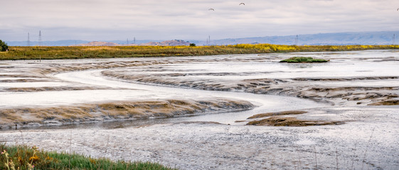 Tidal marsh landscape in South San Francisco bay area, Mountain View, California