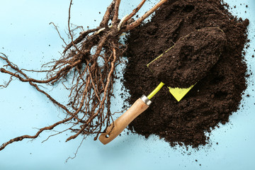 Seedling with shovel and soil on color background