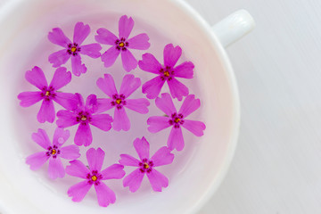 Fototapeta na wymiar White cup of green tea with purple flowers on a white table. Top view. Close up.