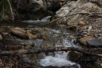 arroyo con cascada