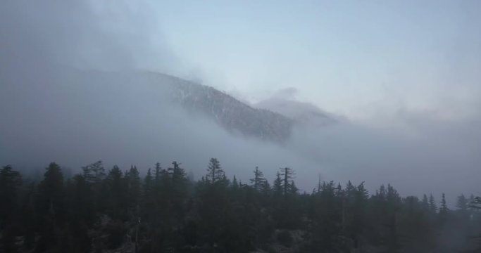 Mysterious pine forest alps of Crystal Lake San Gabriel Mountains, drone shot