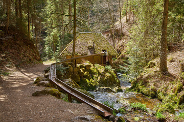 hiking in the river ravenna canyon in the black forest in germany