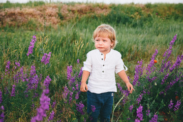 offended little boy on the lavender and lupine filed. Flowers field