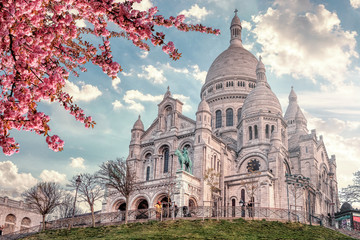 View of Basilica Sacre Coeur in Montmartre in Paris, France. Spring time with cherry blossom tree...