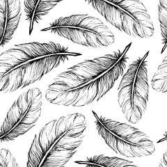 Beautiful seamless hand drawn feather pattern vector
